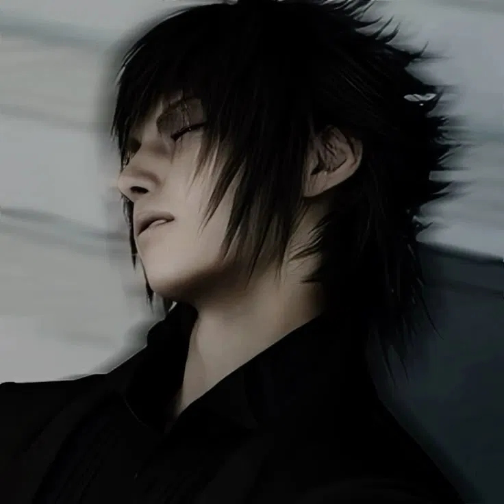 Noctis Lucis Caelum 