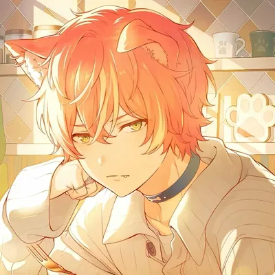 Akito Shinonome