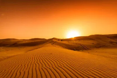 Lost in The Desert
