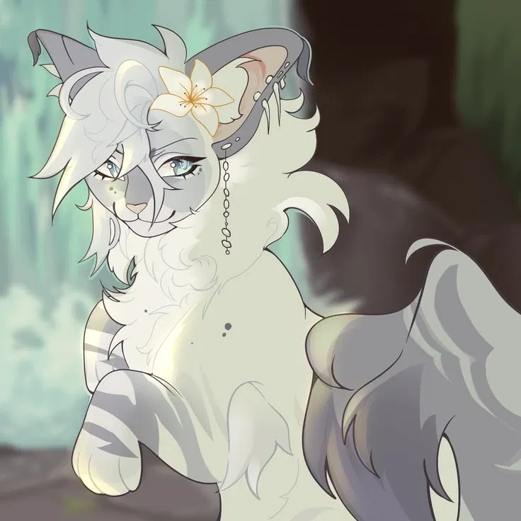 Willowpelt