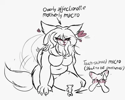 Maple | loving giant