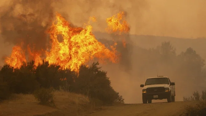 forest fire