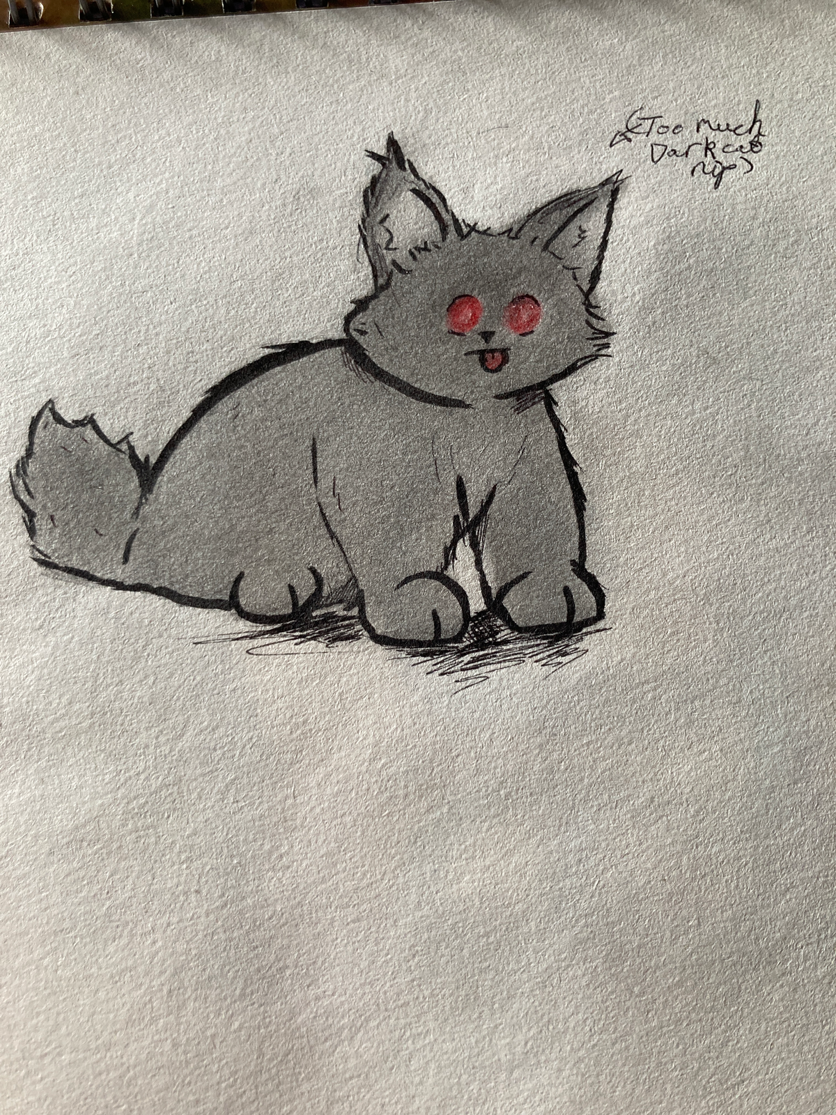 Megatron -Cat-