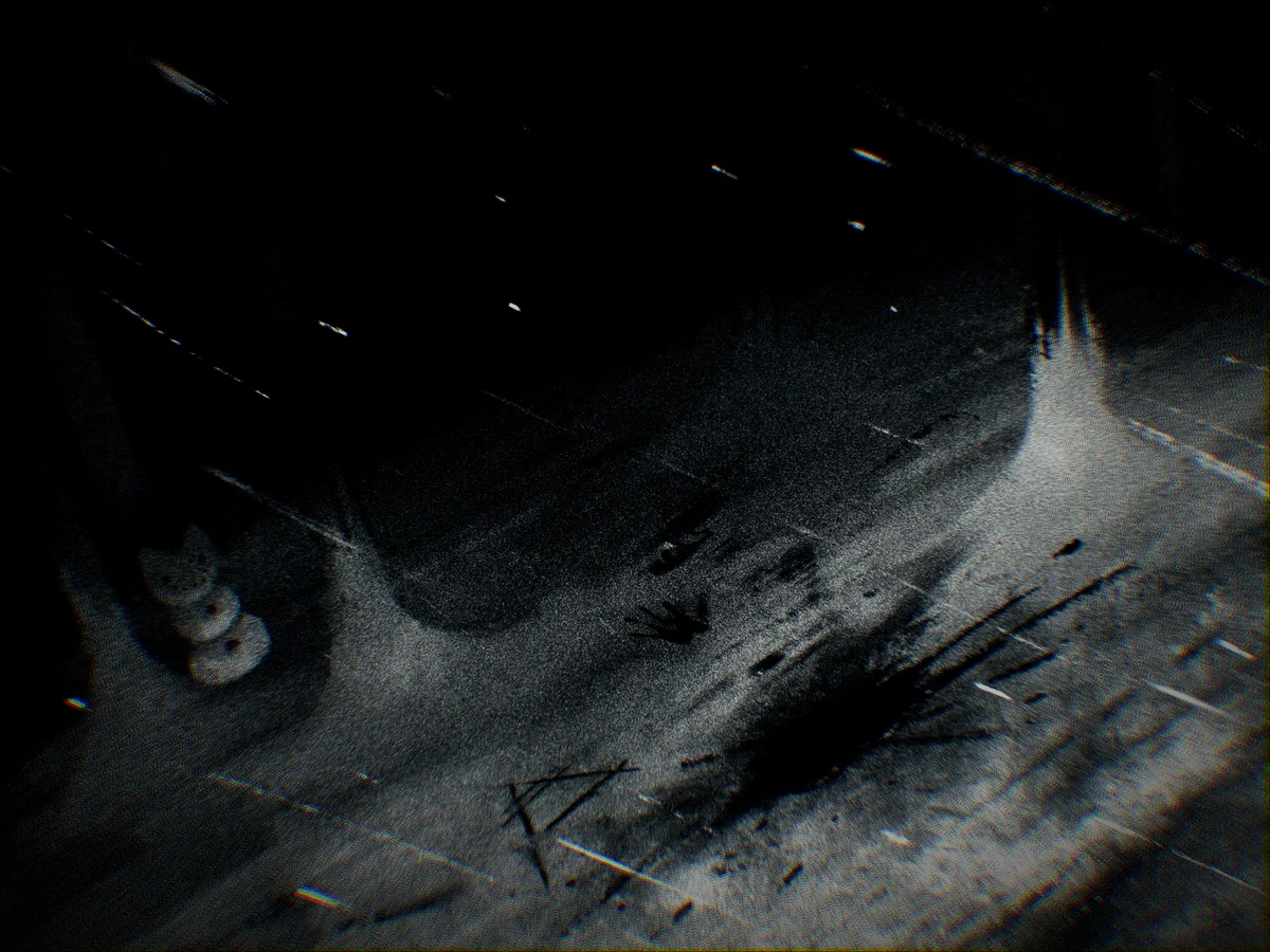 ∆Future Forest∆