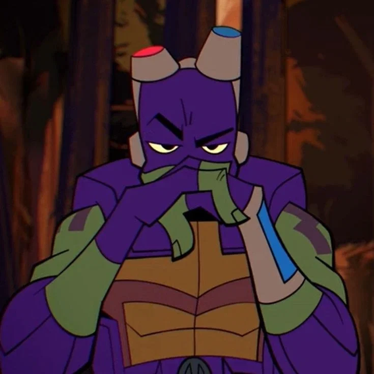 Donatello Hamato – Rise of the Teenage Mutant Ninja Turtles