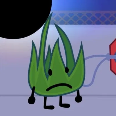 Grassy BFDI TPOT BFB IDFB