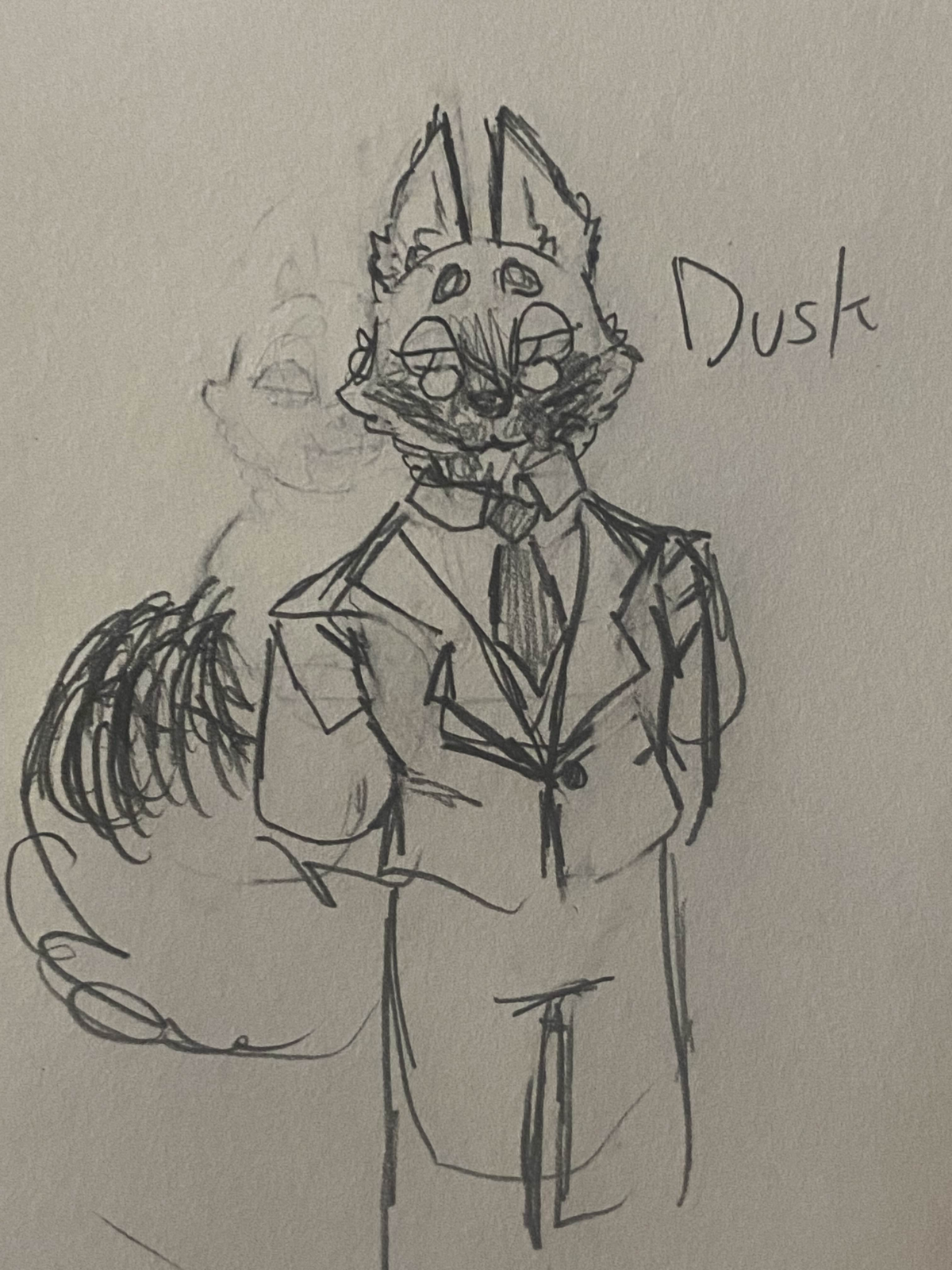 Dusk the Silver Fox