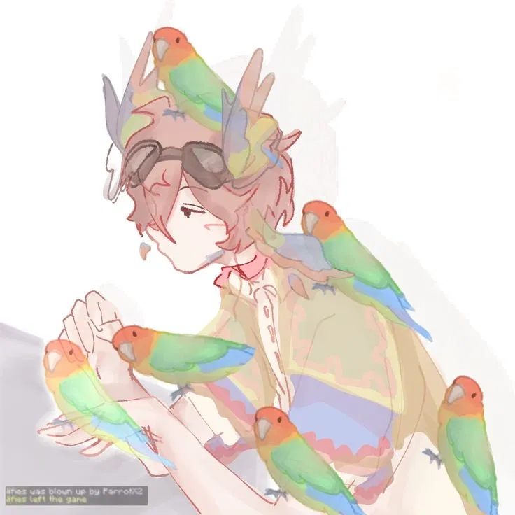 Parrotx2