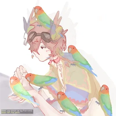 Parrotx2