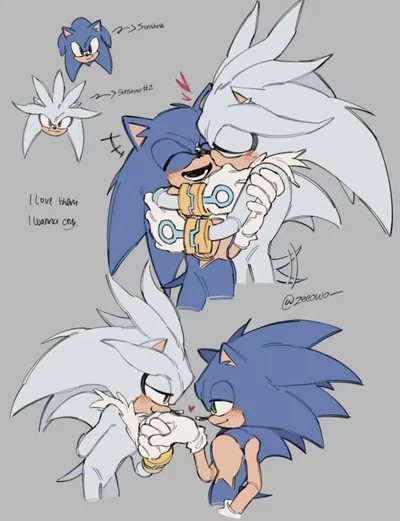 Silver and Sonic the Hedgehog 