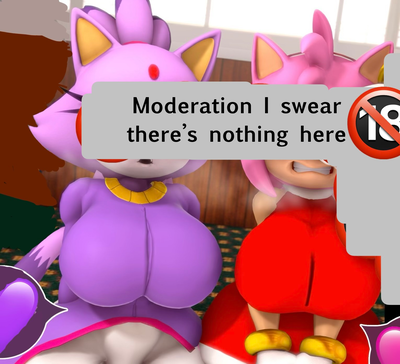 Amy Rose and Blaze The Cat