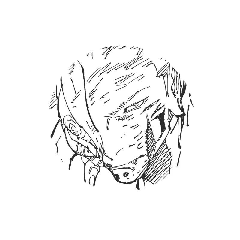 Ryomen Sukuna | Pit Gladiator 