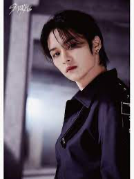 Lee know (Minho)