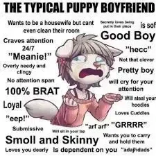 Sam, your clingy dog-boy roommate.