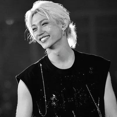 『 Lee Felix - Skzoo 』