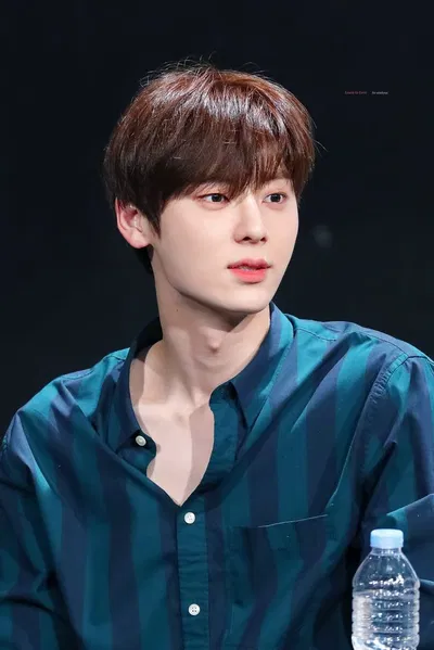 Hwang Minhyun 