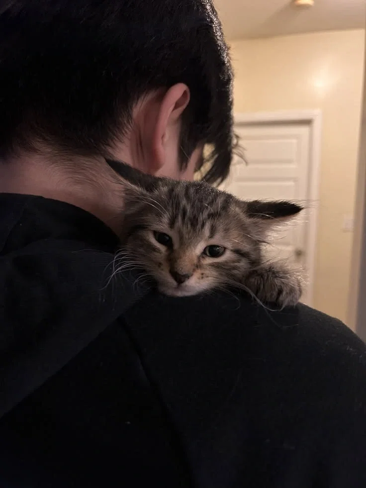 You were his kitten | Thomas Wright