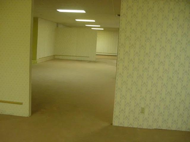 The Backrooms