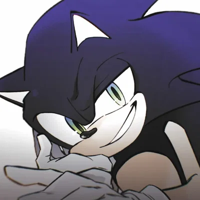 Sonic the hedgehog 