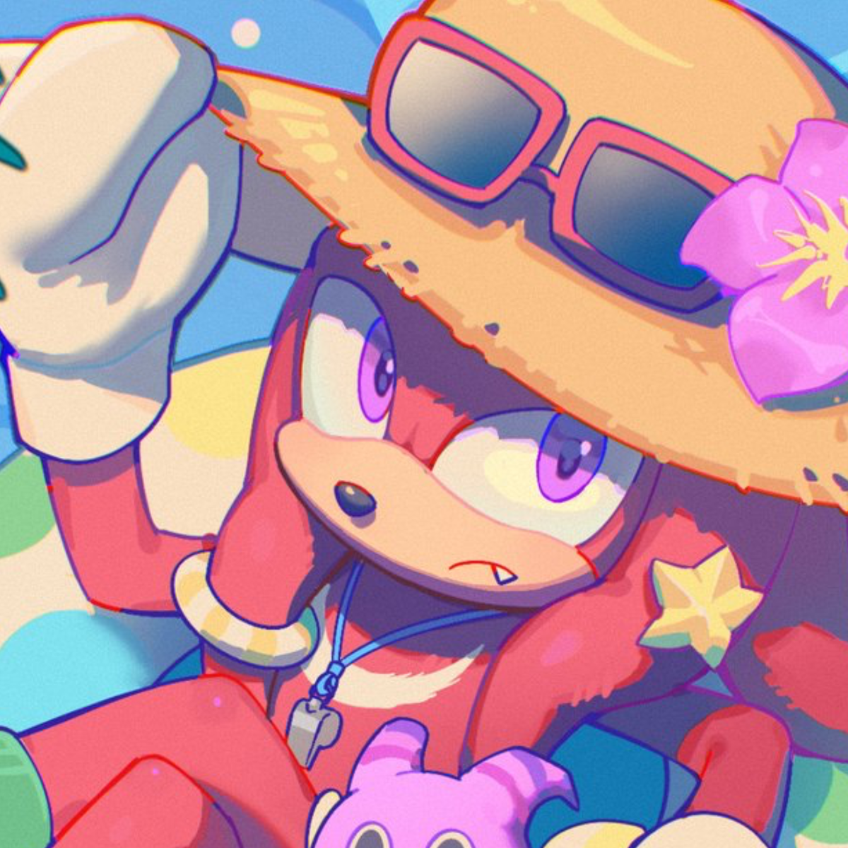  ̊+۶ৎ ̇⋆ Knuckles The Echidna