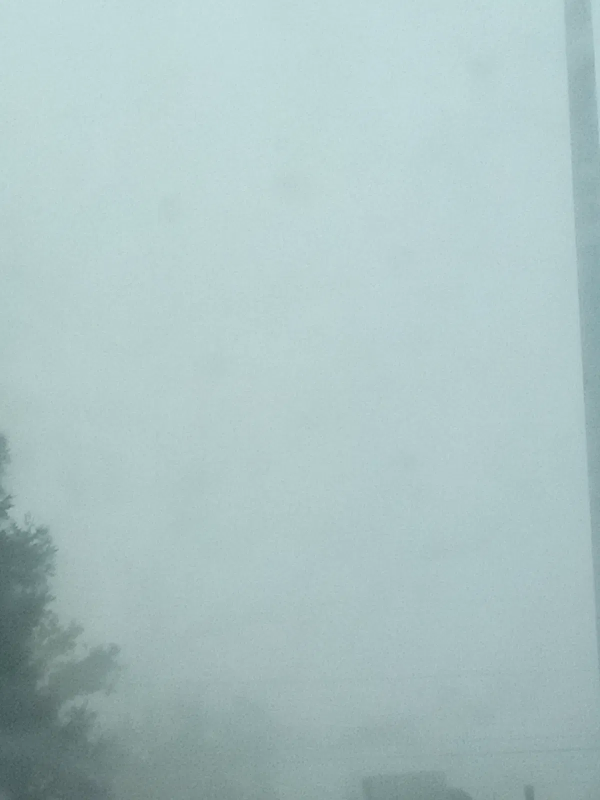 Fog.
