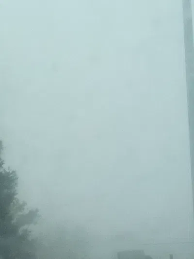 Fog.