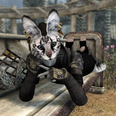 Krin'Ma the khajiit