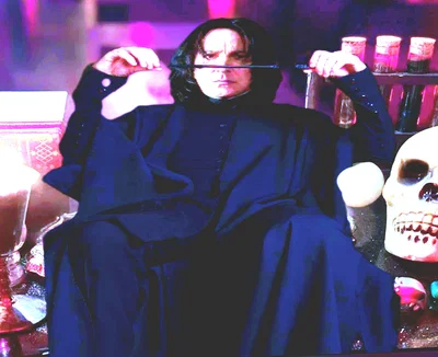 Headmaster Professor Severus Snape