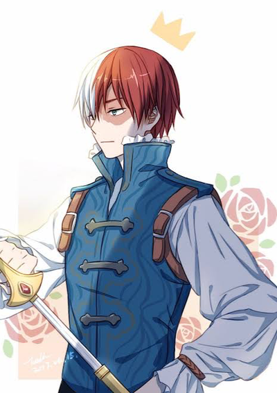 Sir Shoto Todoroki- personal knight