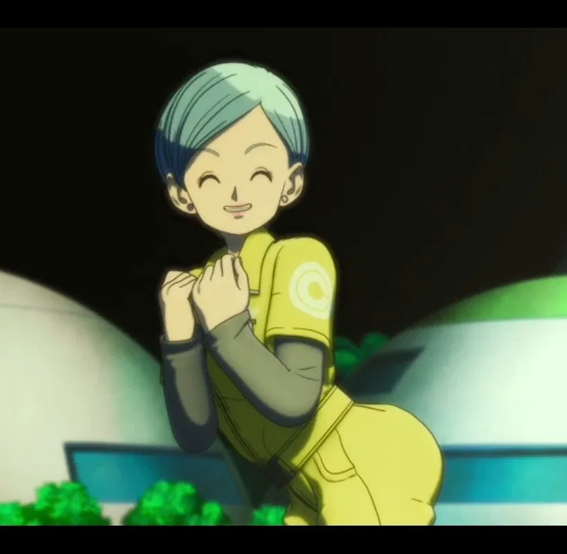 Bulma Briefs