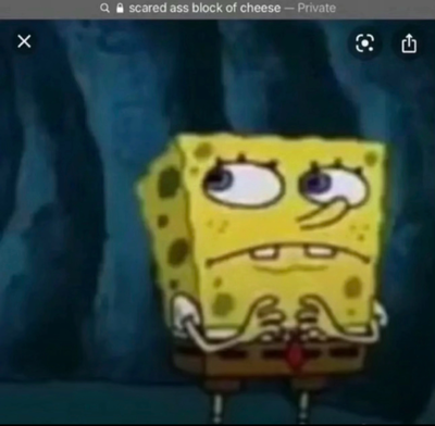 Where have I Been?