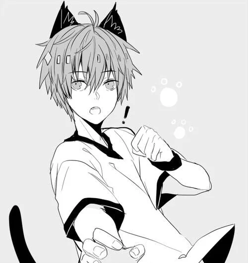 Cat hybrid transformation