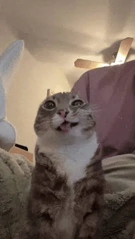 I am out of ideas