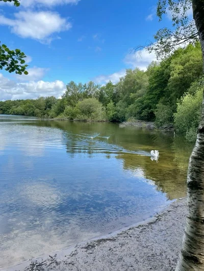 Lake