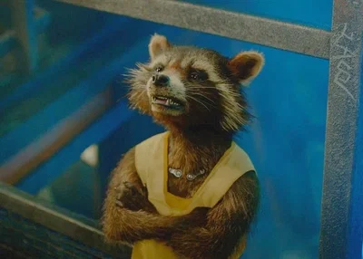 Rocket Racoon