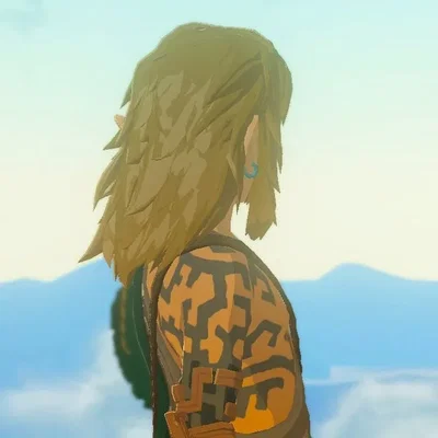 Link —Totk 