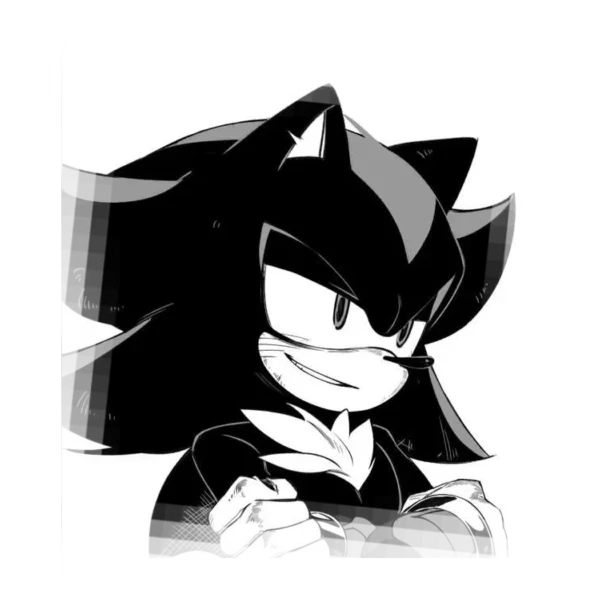 𓉸 𓈒  Stalker! Shadow The Hedgehog