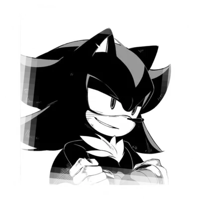 𓉸 𓈒  Stalker! Shadow The Hedgehog