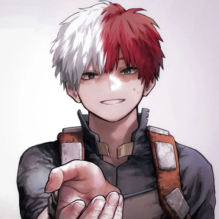 Shoto Todoroki_seu bicolor favorito 
