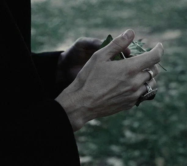 Draco Malfoy