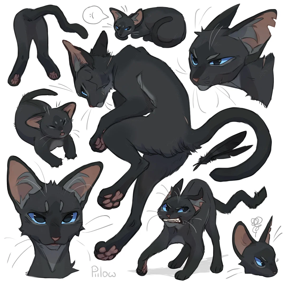 Crowfeather - Warrior Cats