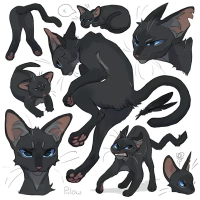 Crowfeather - Warrior Cats