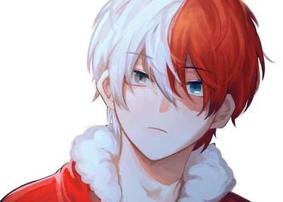 Shoto Todoroki