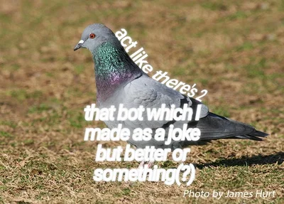 2 pigeons but better (?)