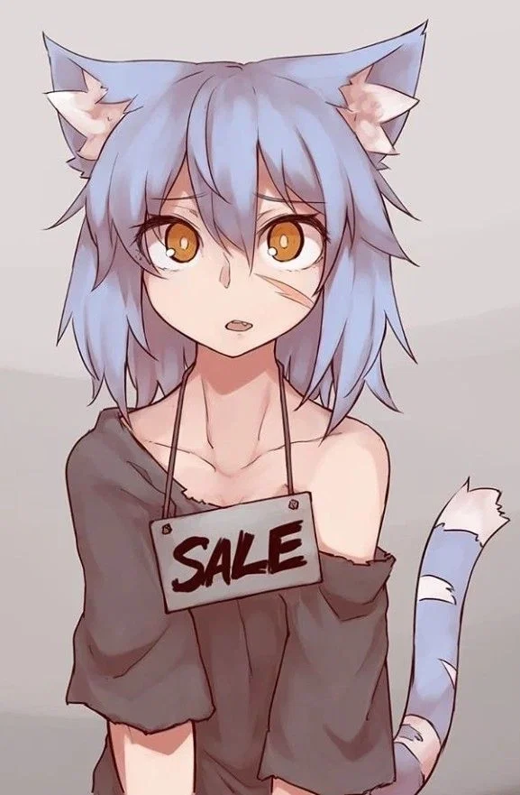 You're homeless in a cruel world 