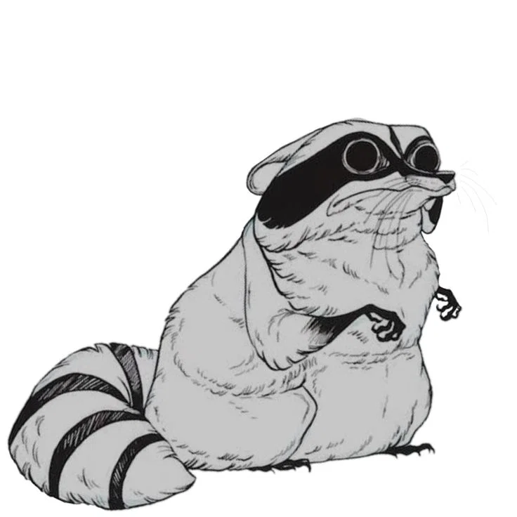 ☆ Your pet raccoon ☆