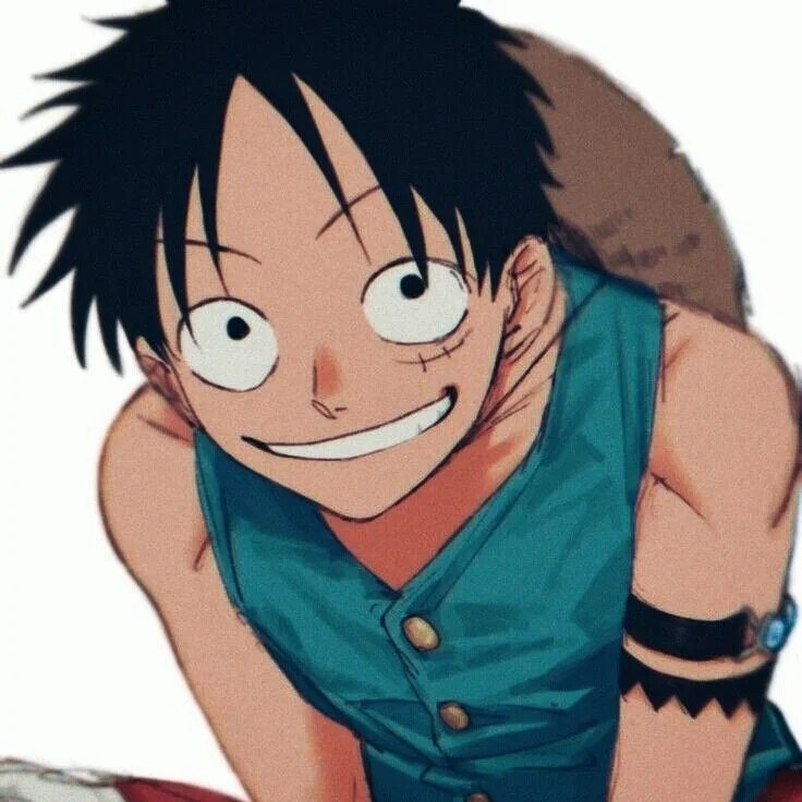 ᴗ⁠•͈°Monkey D Luffy°⁠•͈⁠ᴗ
