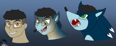 Werehog TF