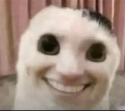12 Followers...