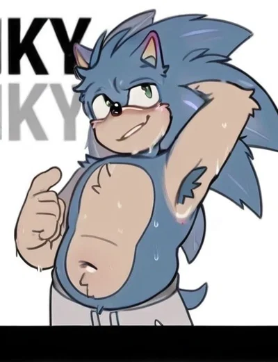 Sonic T. Hedgehog (STH)